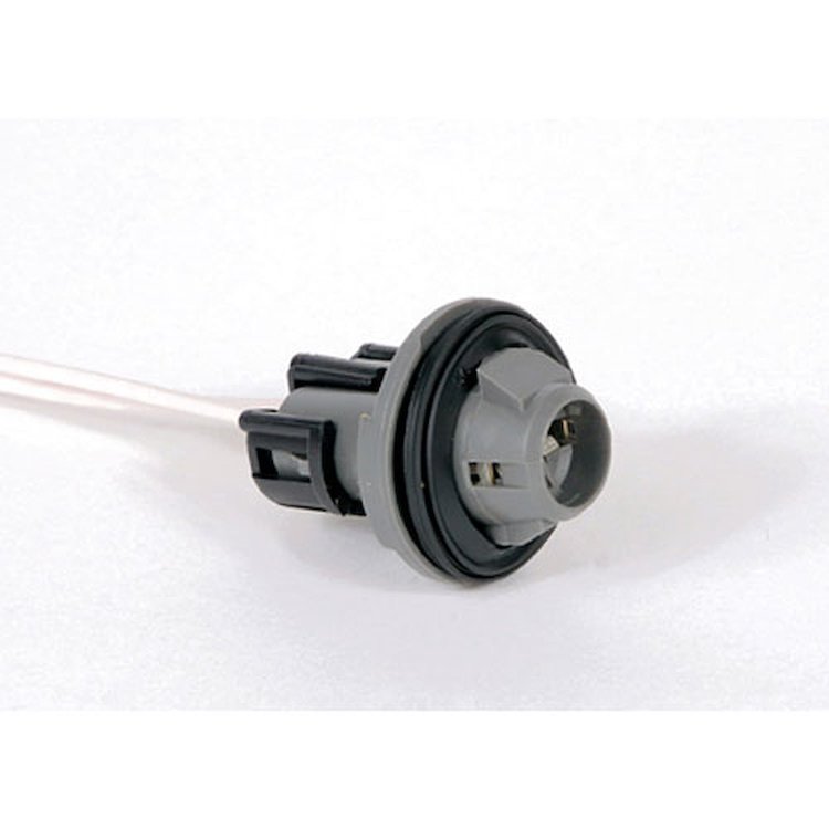 SOCKET RR LIC PLT LP