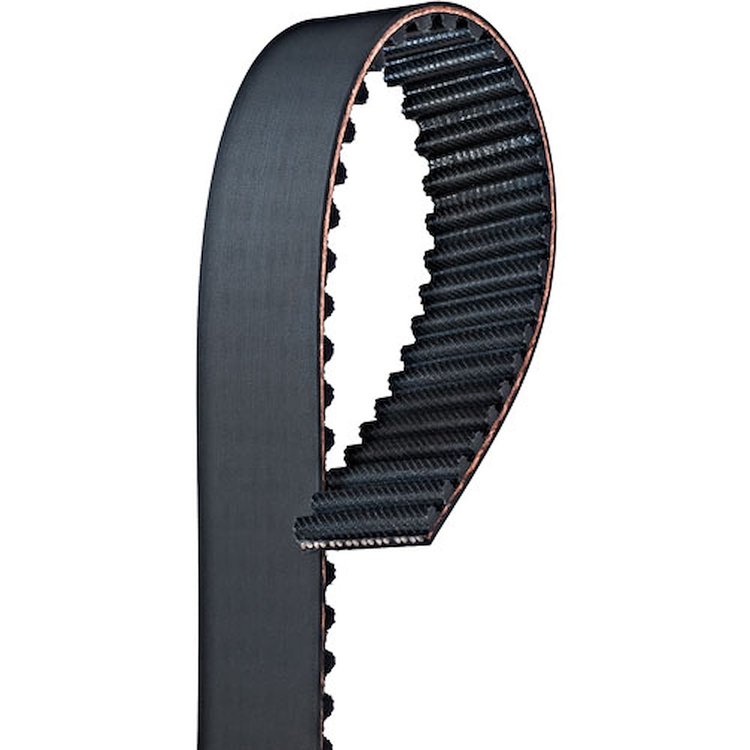 BELT TMG