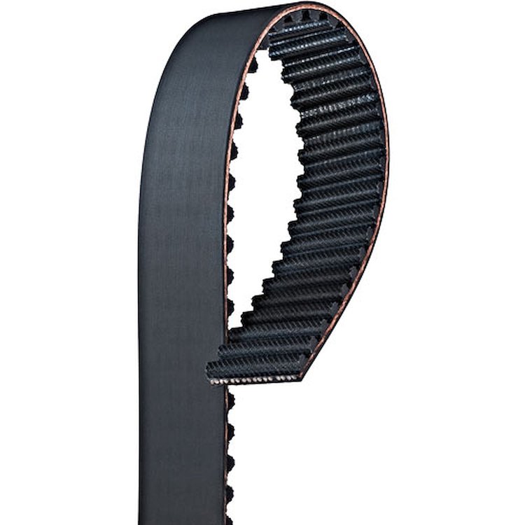 BELT TMG