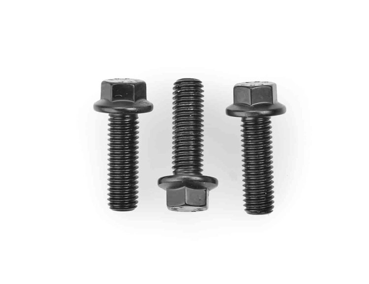Cam Bolts Chevy LS1 (Sprocket Bolts)