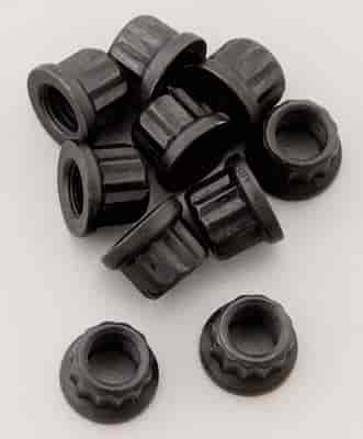 Stainless Steel 12-Point Nut 7/16"-20