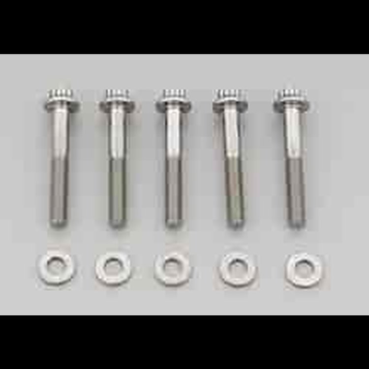 1/4" Stainless Steel 12-Point Bolts 1.750" UHL