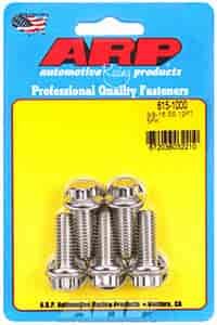 3/8" Stainless Steel 12-Point Bolts 1.000" UHL