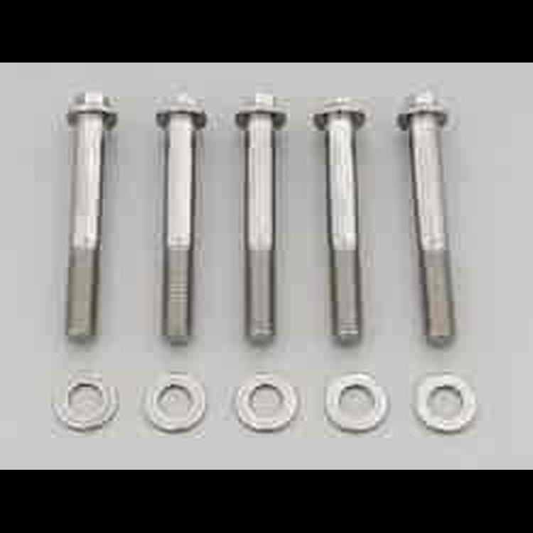 3/8" Stainless Steel Hex Bolts 2.750" UHL