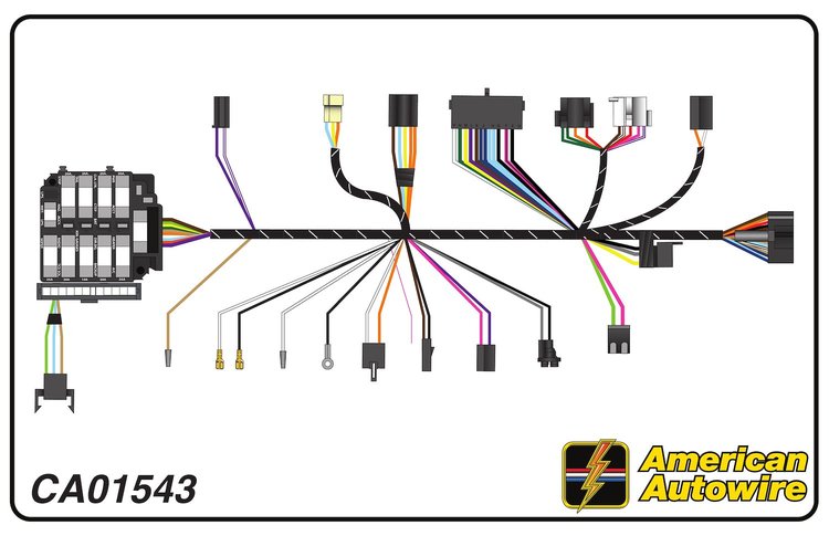 DASH HARNESS, manual tran