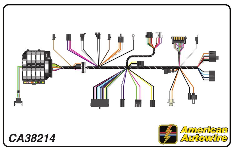 DASH HARNESS, with warnin