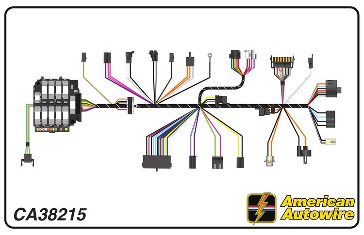 DASH HARNESS, with factor