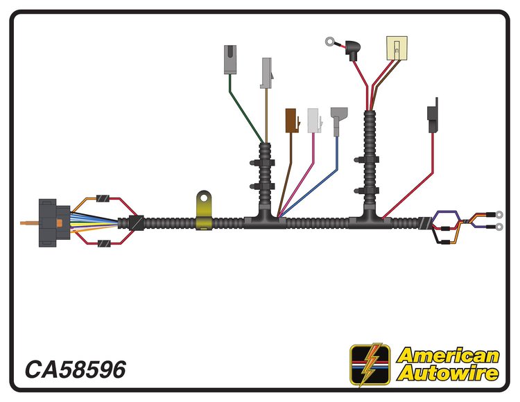 ENGINE HARNESS, V8, manua