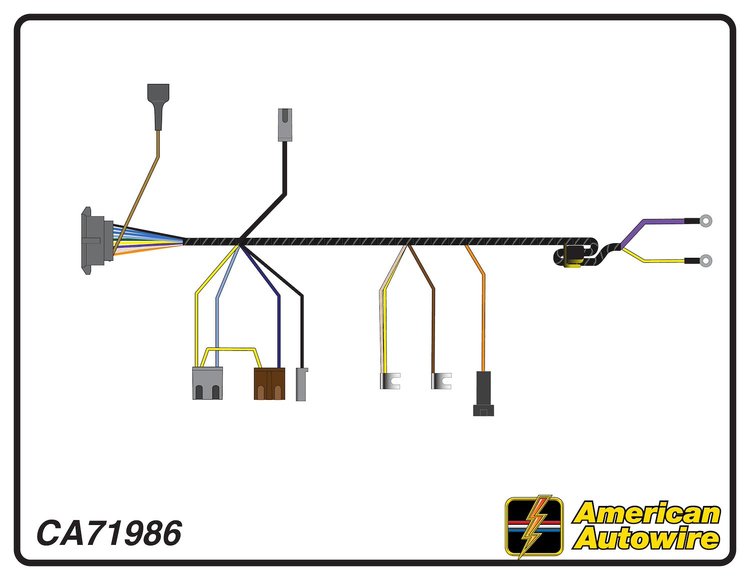 ENGINE HARNESS, V8, big b