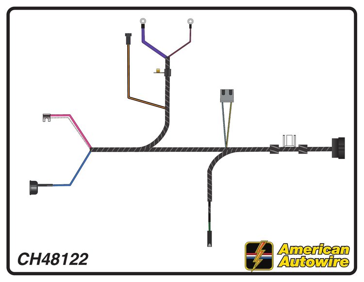 ENGINE HARNESS, V8, with
