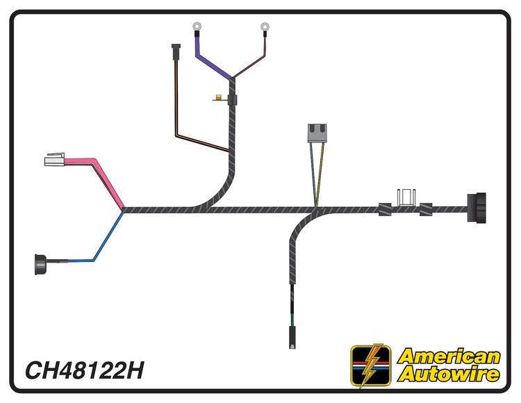 ENGINE HARNESS, V8, with