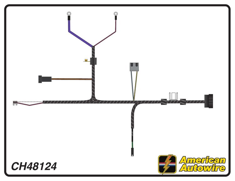 ENGINE HARNESS, V8, with