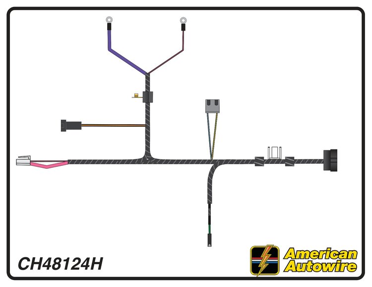 ENGINE HARNESS, V8, with