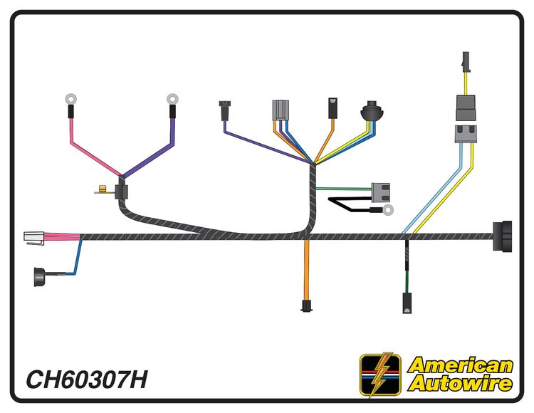 ENGINE HARNESS, V8, with