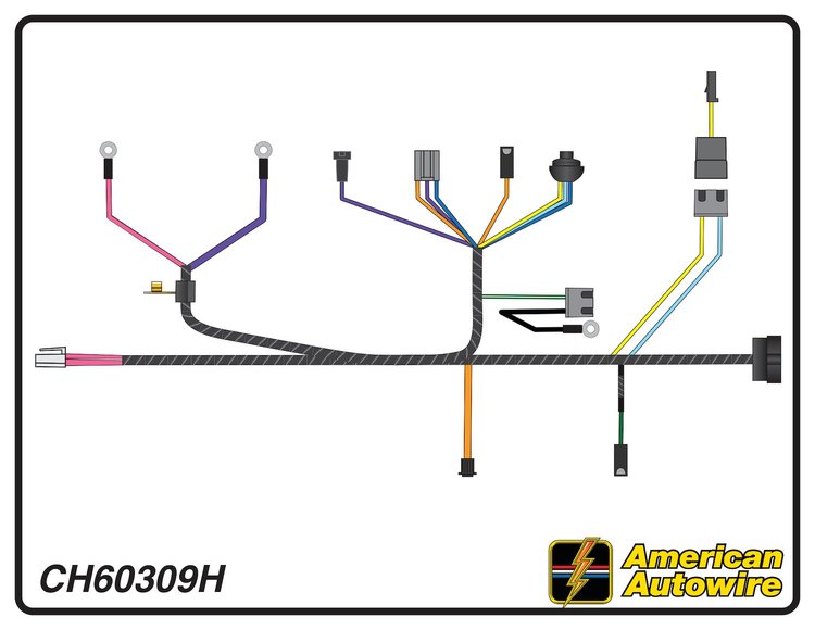 ENGINE HARNESS, V8, with