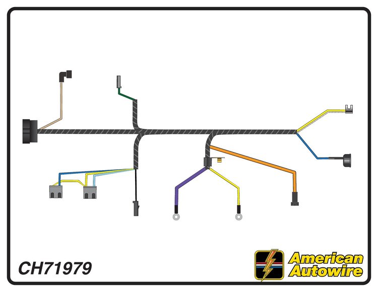 ENGINE HARNESS, V8, with