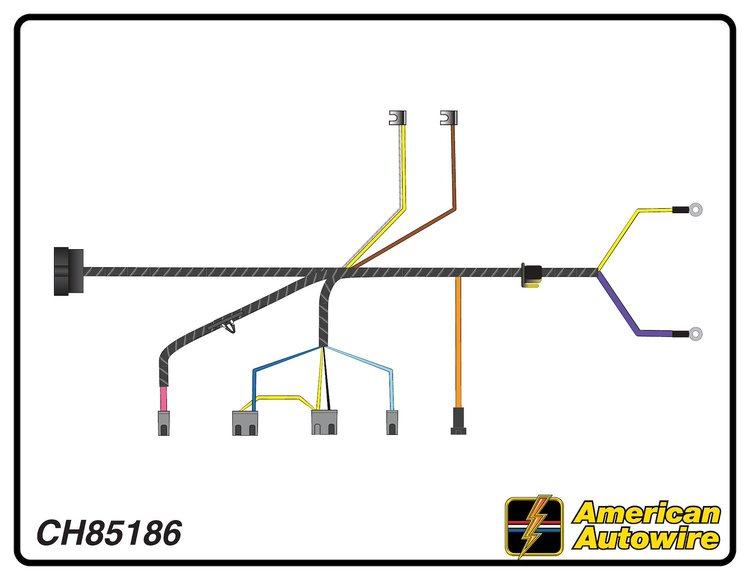 ENGINE HARNESS, V8, with