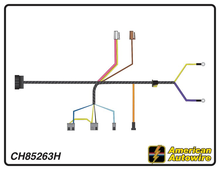 ENGINE HARNESS, V8, with