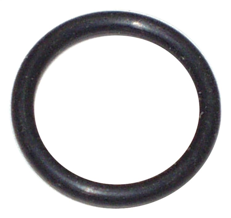 Crankcase Vent O-Ring