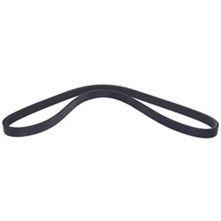 Serpentine Belt