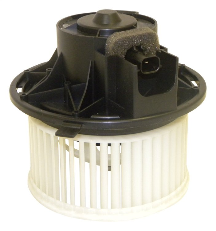 Blower Motor