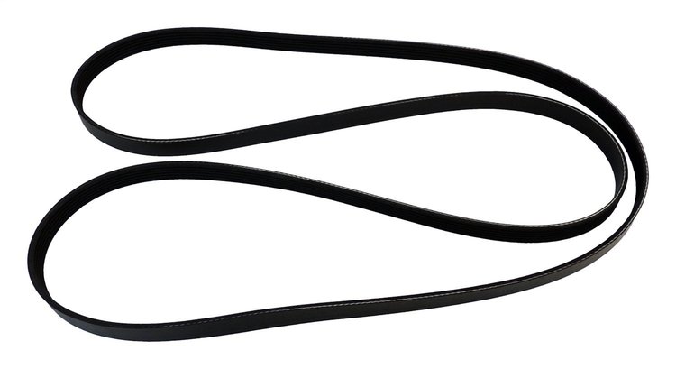 Serpentine Belt