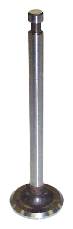 Intake Valve