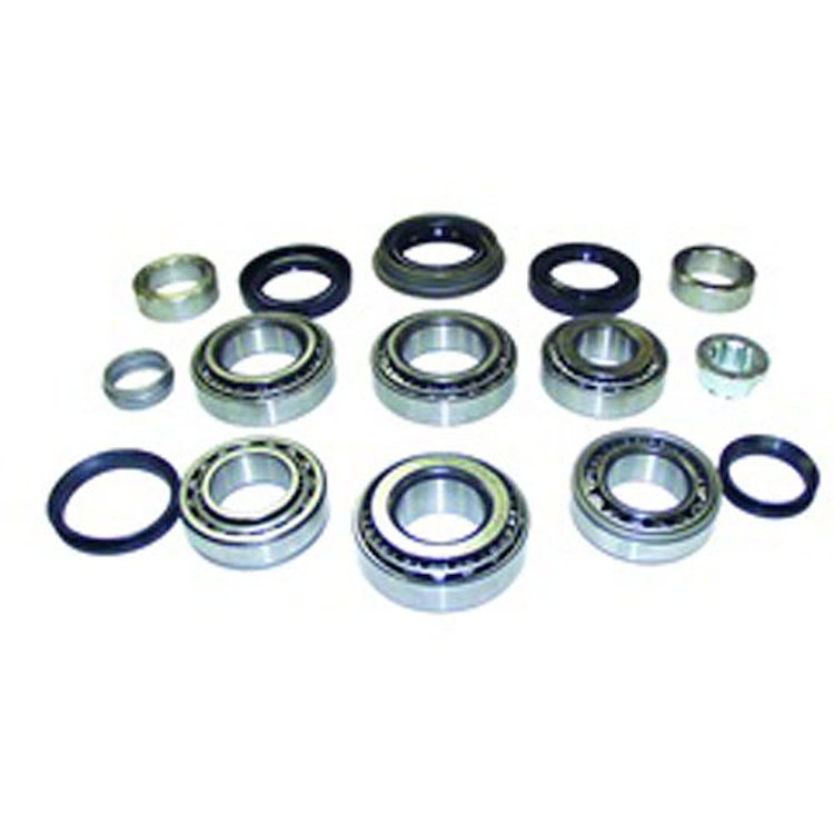 Differential Master Overhaul Kit