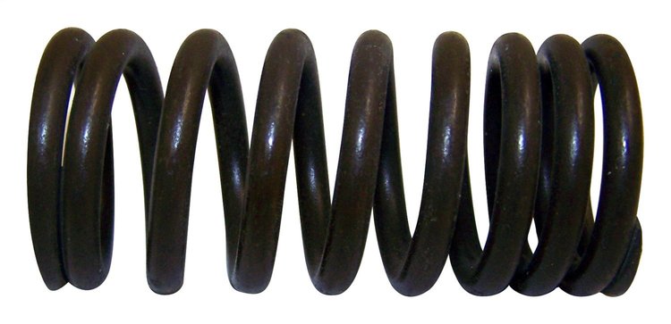 Valve Spring