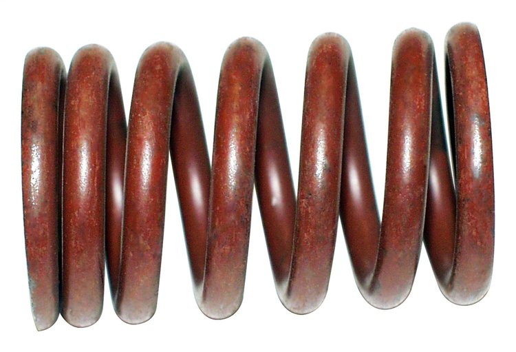 Valve Spring