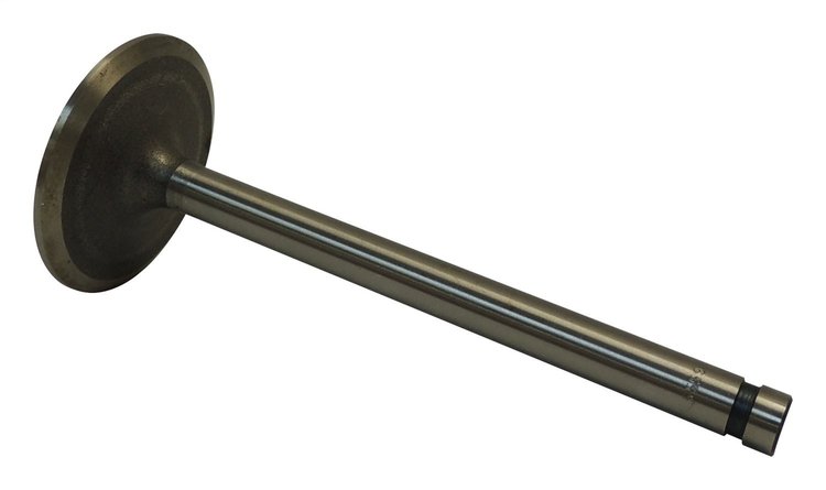 Intake Valve
