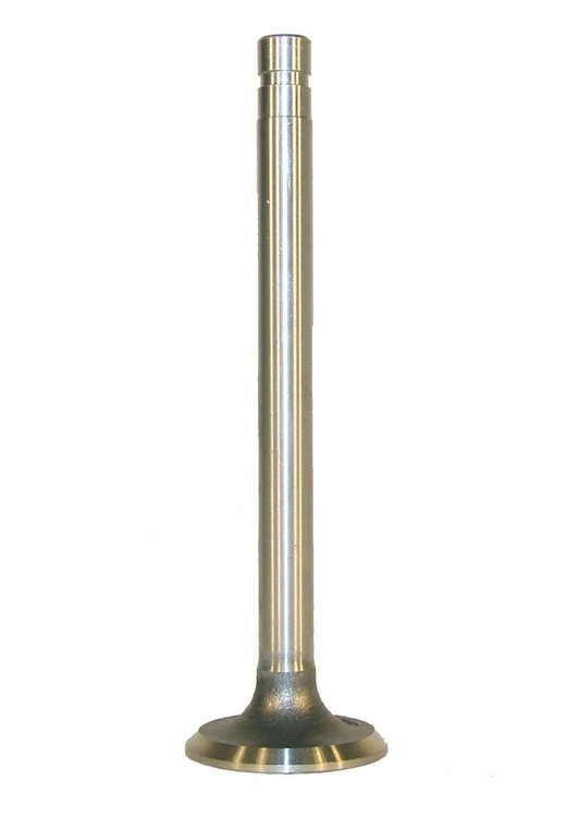 Exhaust Valve