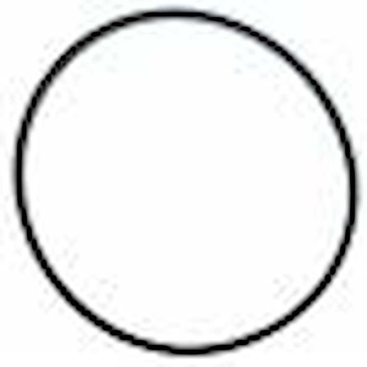 973550 Seal, Extension Housing O-Ring, TH350 & 700R4