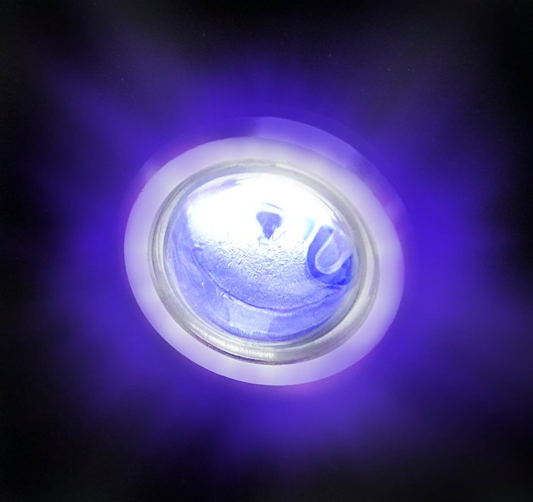 BLUE WARNING LIGHT- 1/2IN