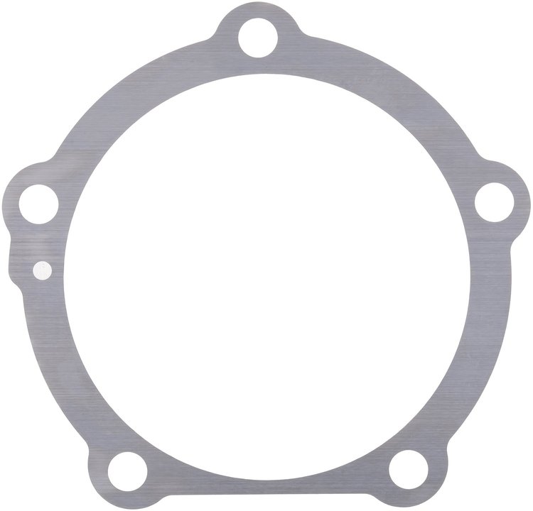 SHIM .010