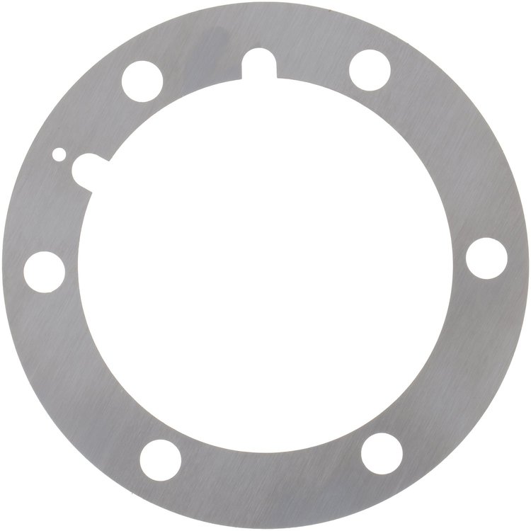 SHIM 0,254 PIN BRG.CAGE
