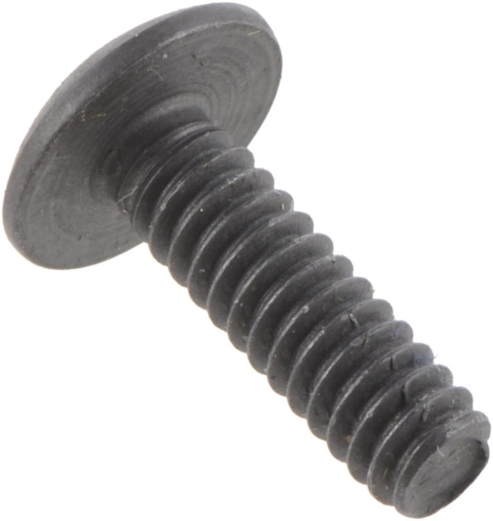 SCREW