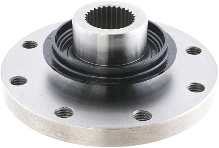 Companion Flange
