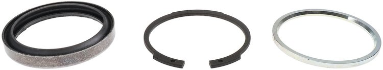 Dustcap Seal Kit