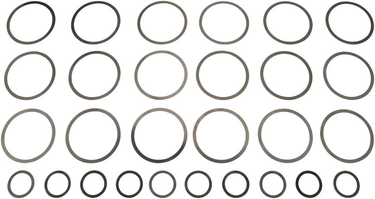 SHIMS
