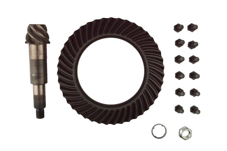Ring & Pinion