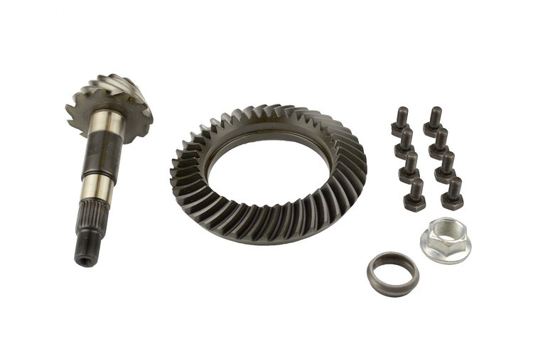 Ring & Pinion