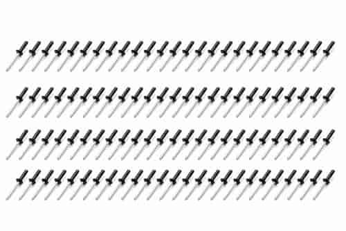 Small Head Rivets 3/16" Black 100pc