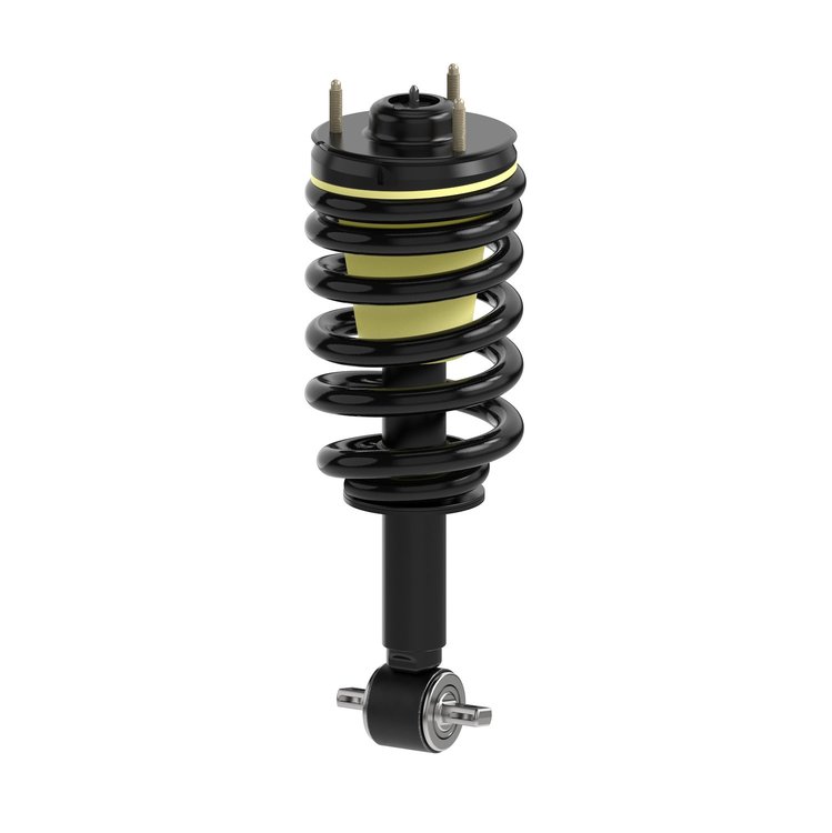 Magnum Loaded Assembly Strut CS Assbly