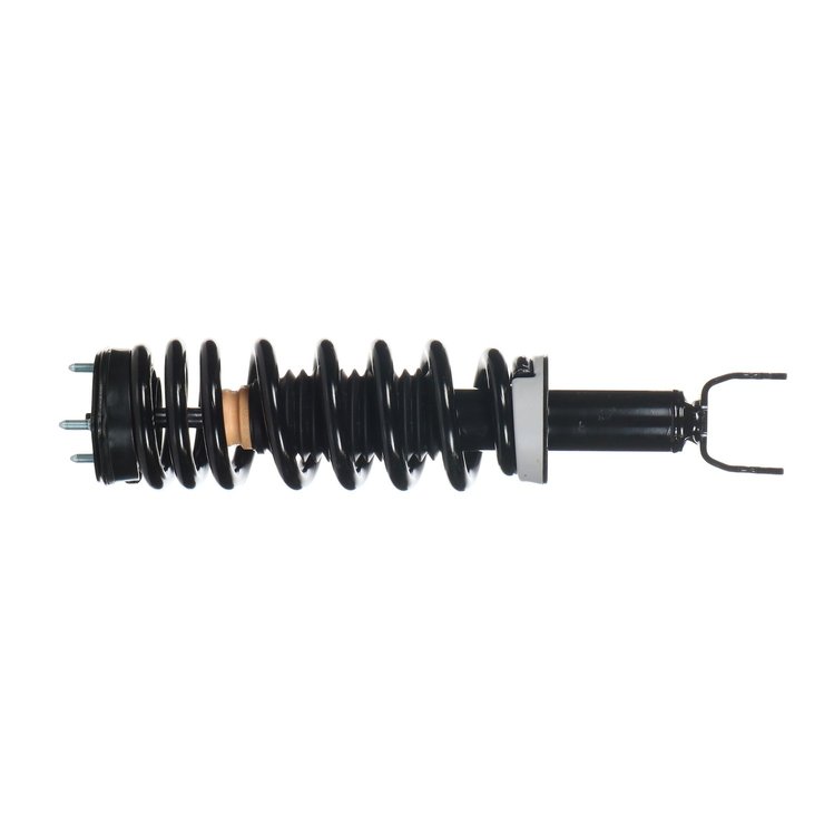 Magnum Loaded Assembly Strut CS Assbly