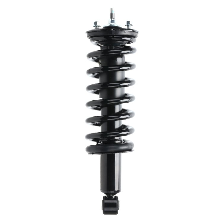 Quick-Strut Strut and Coil Spring Assembly