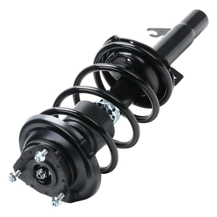 Quick-Strut Strut and Coil Spring Assembly