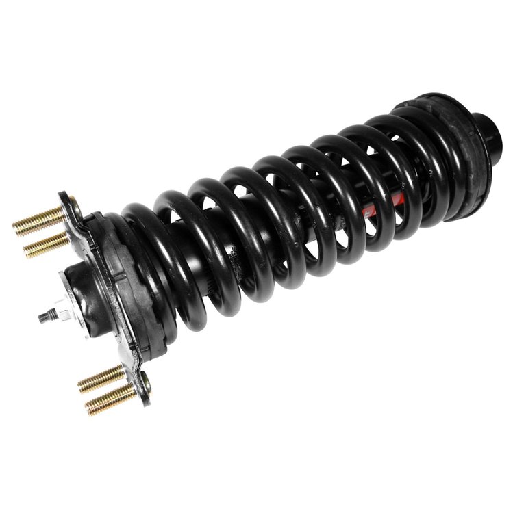 Quick-Strut Strut and Coil Spring Assembly