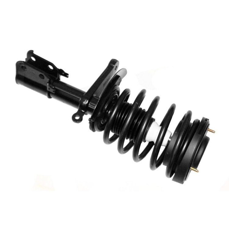 Quick-Strut Strut and Coil Spring Assembly