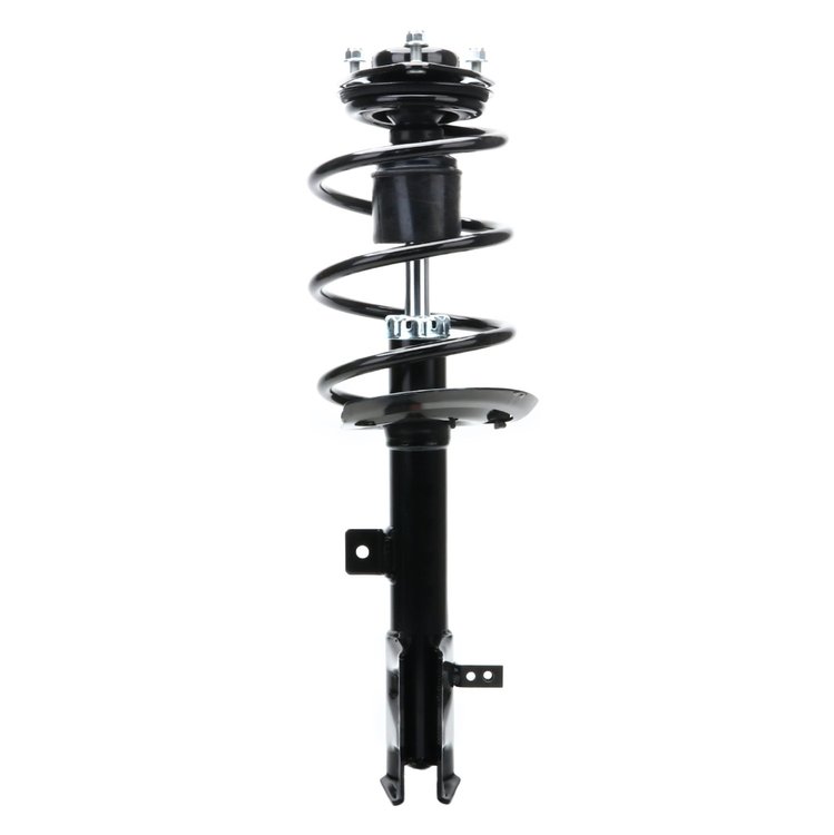Quick-Strut Strut and Coil Spring Assembly